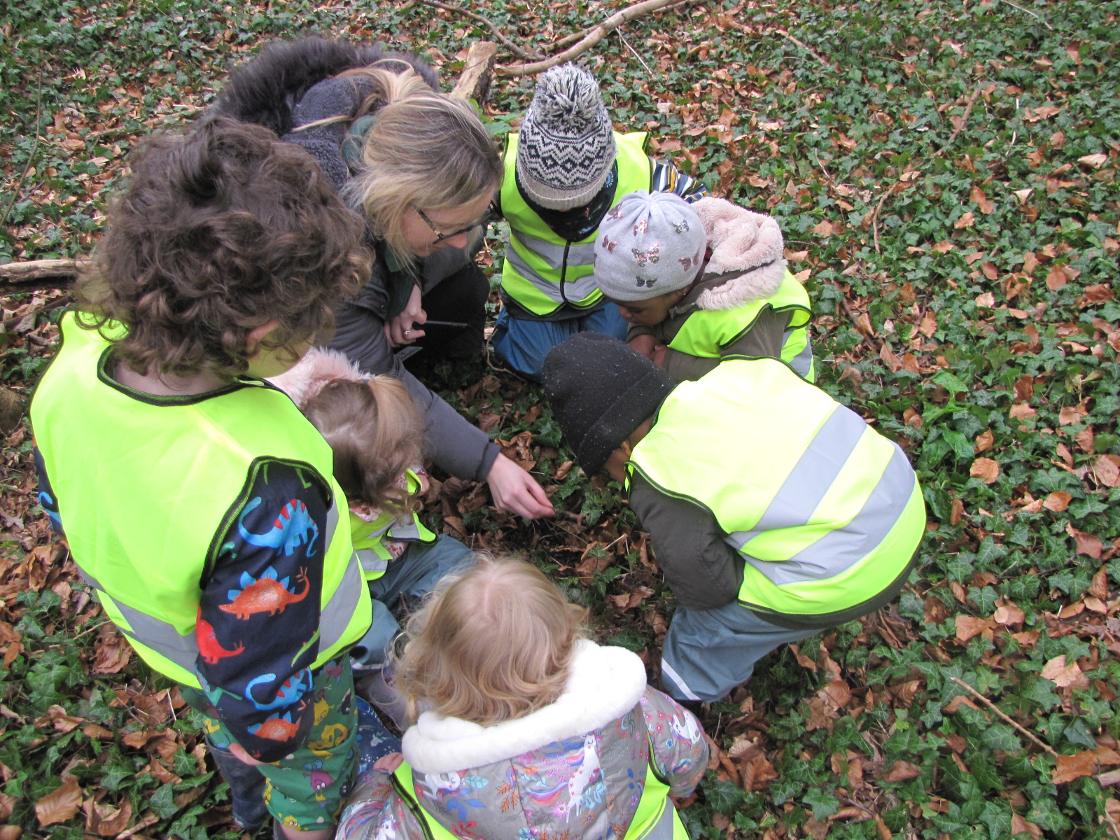 TNB Tree Tots Day Nursery photo